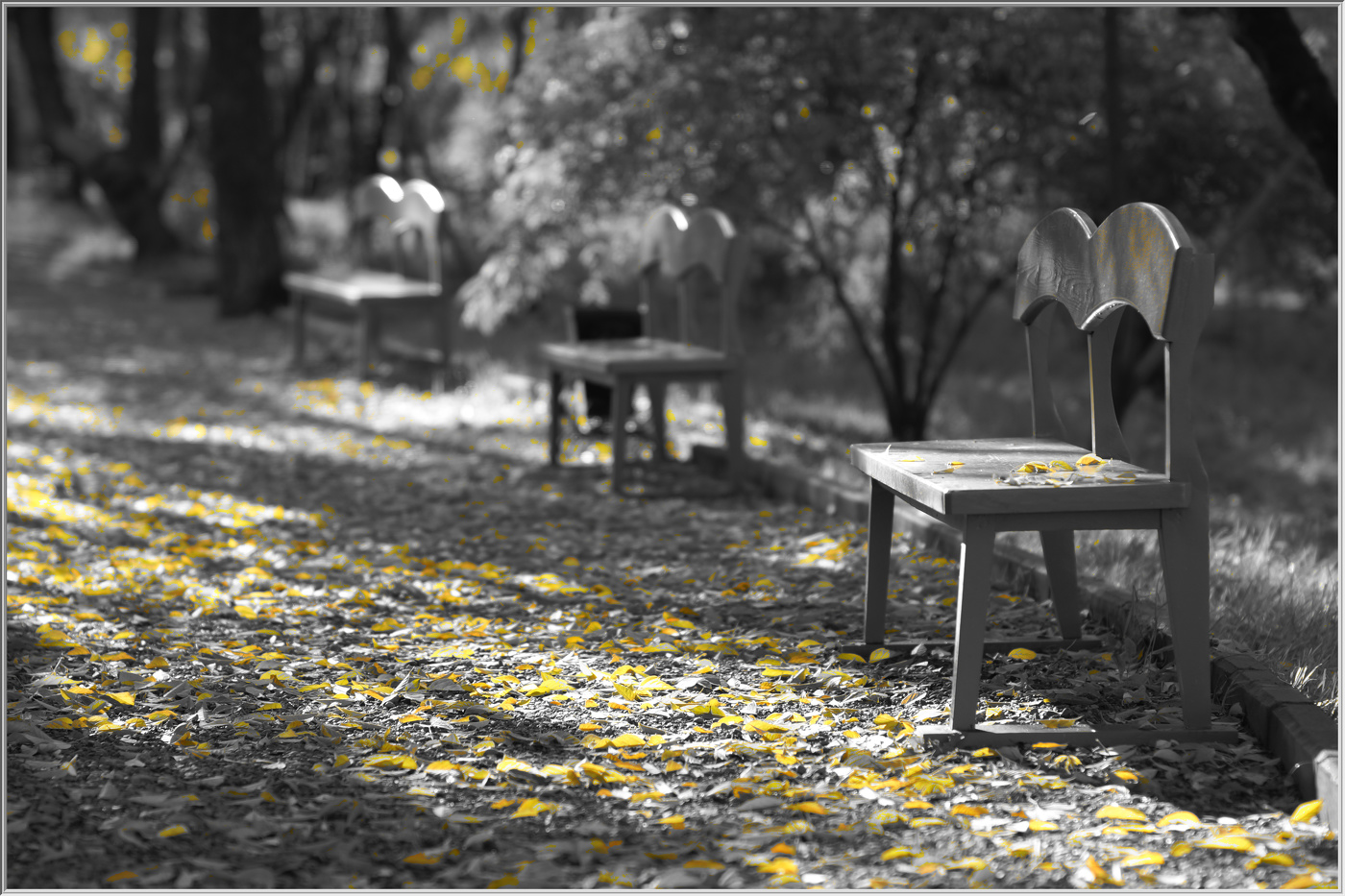 Осенние капли