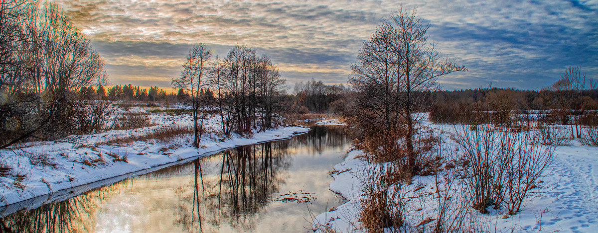 Плиса февральская