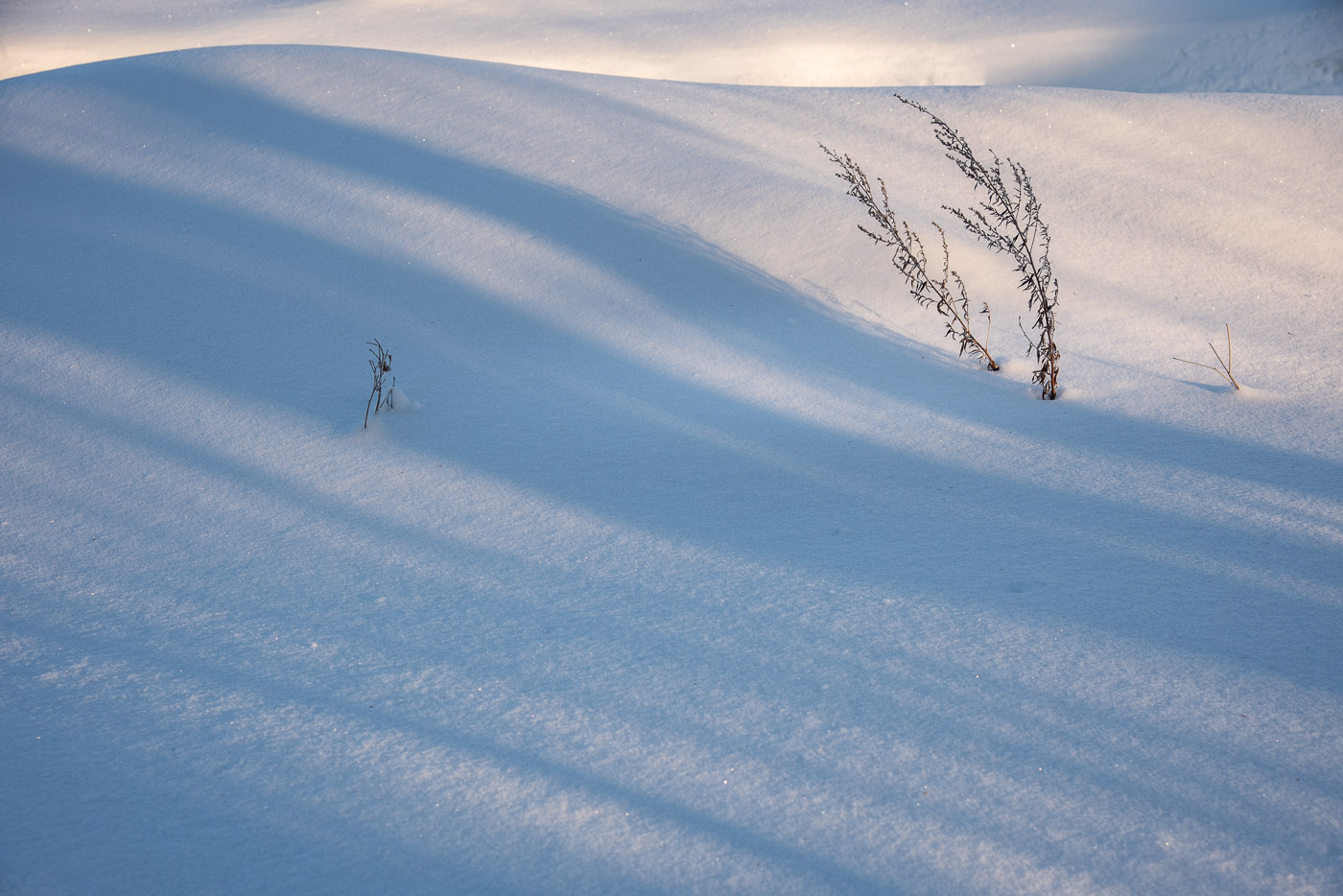 Снег и тени