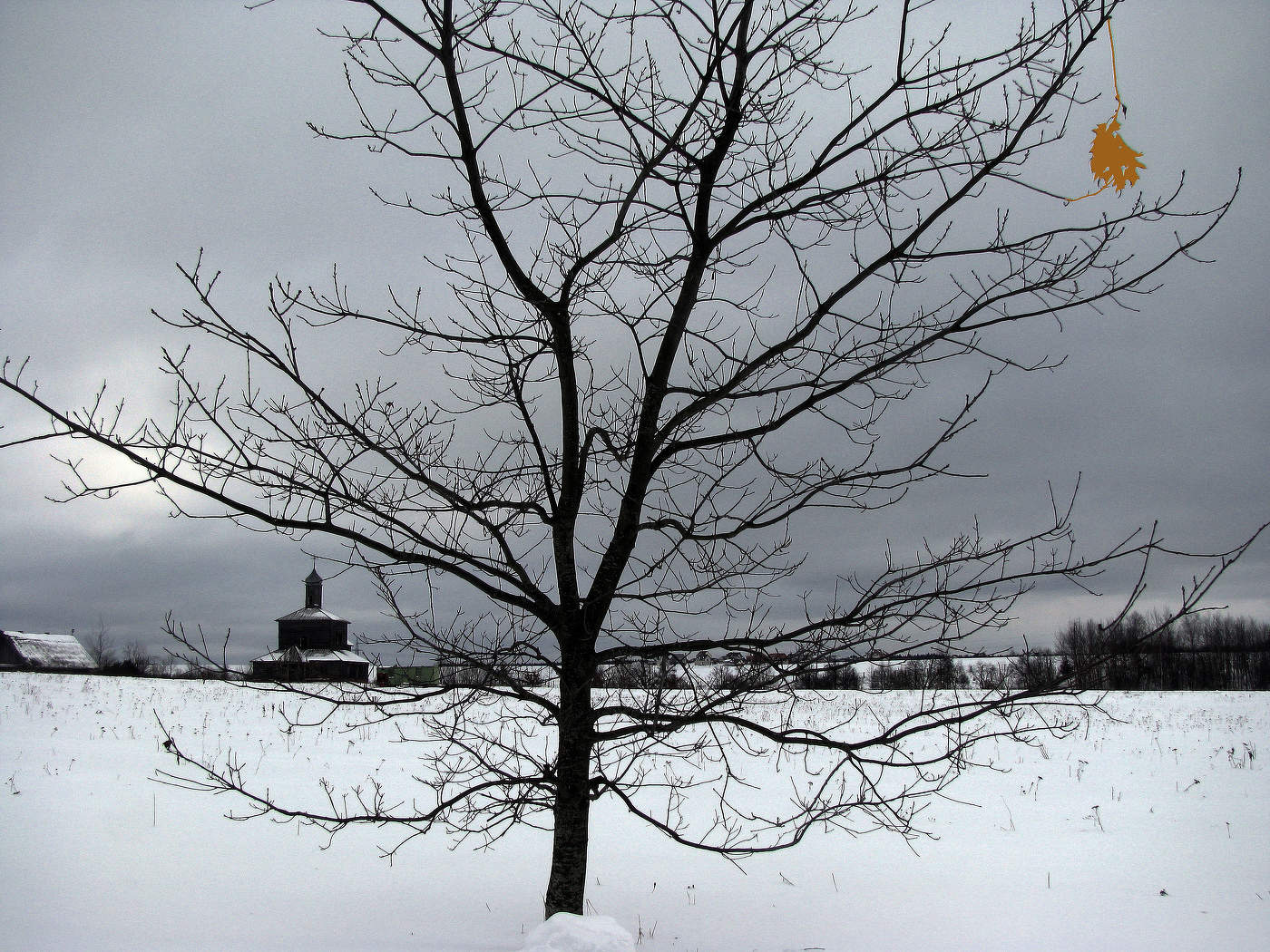 Последний лист...