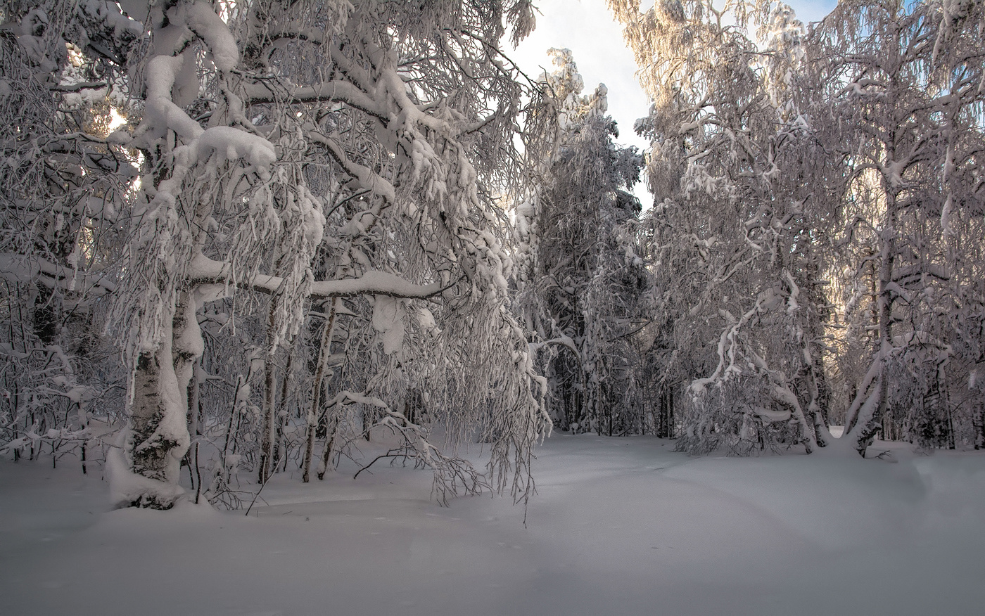 Намело, навьюжило