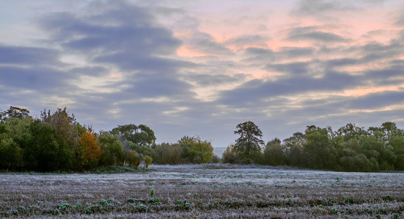 Осеннее поле.