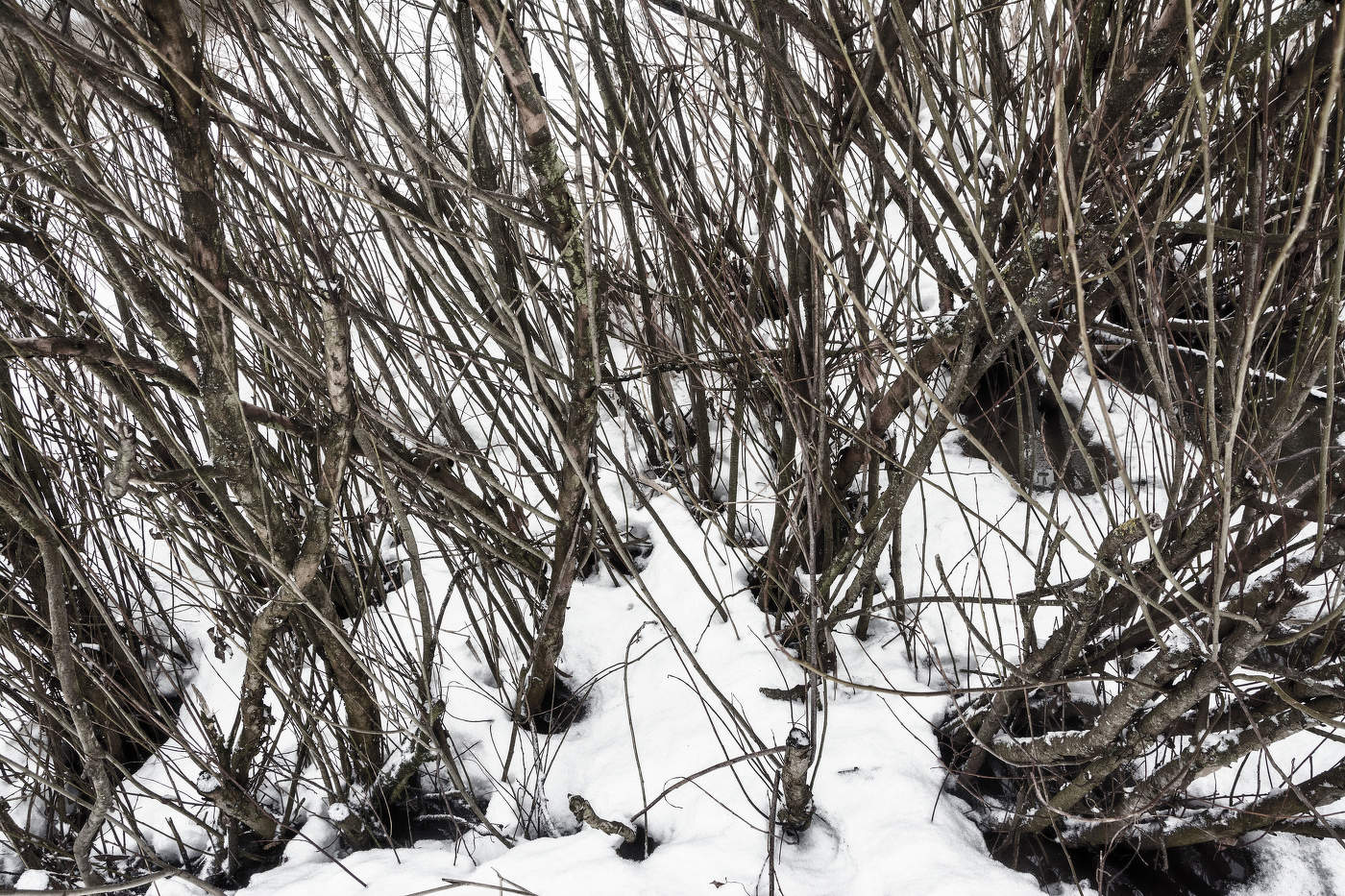 Жизнь вокруг