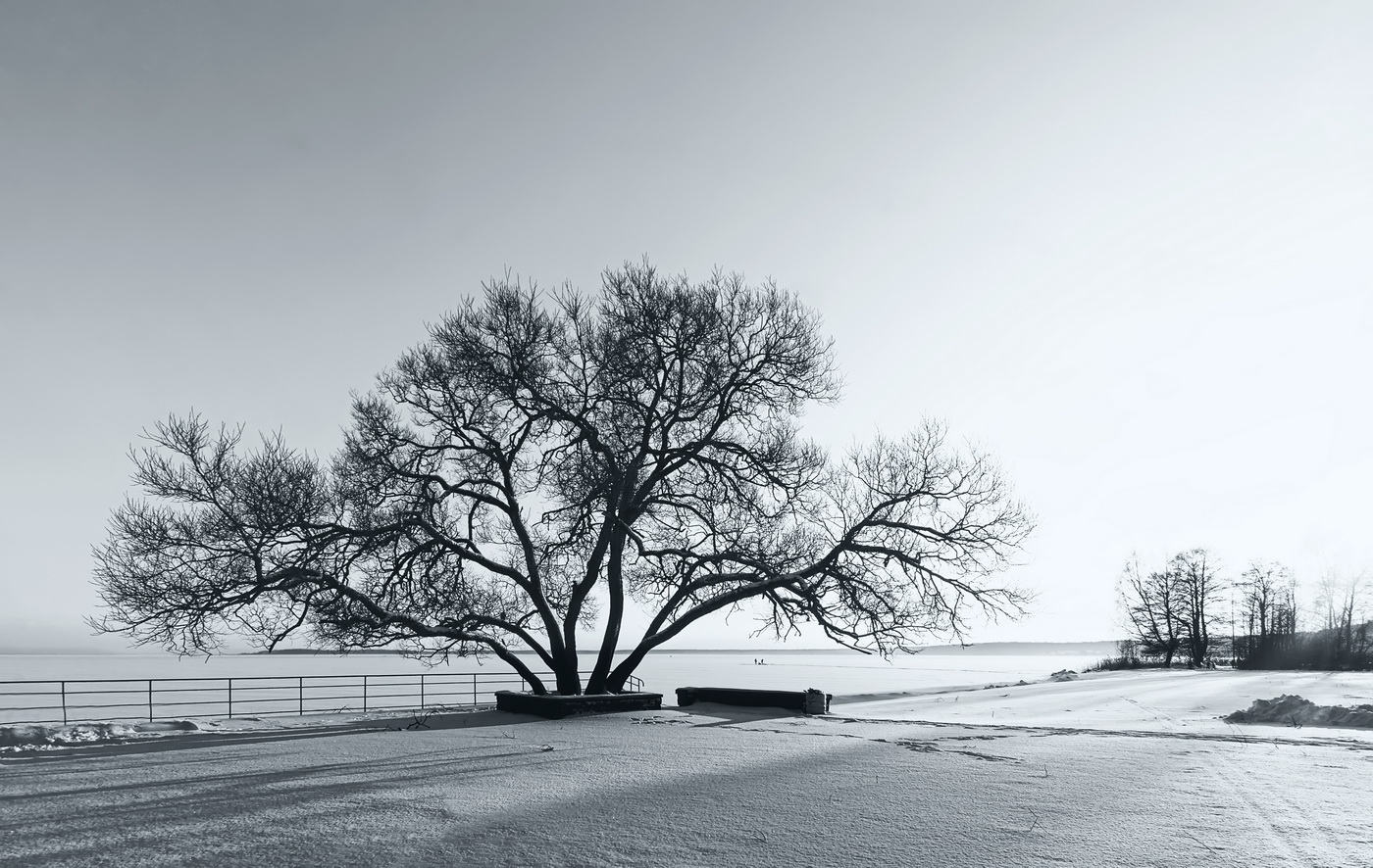 Зима на озере