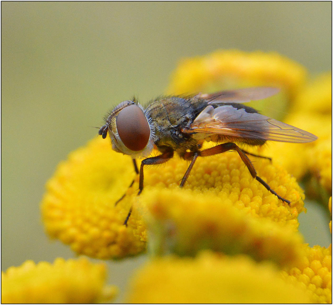 Последний солнечный день.