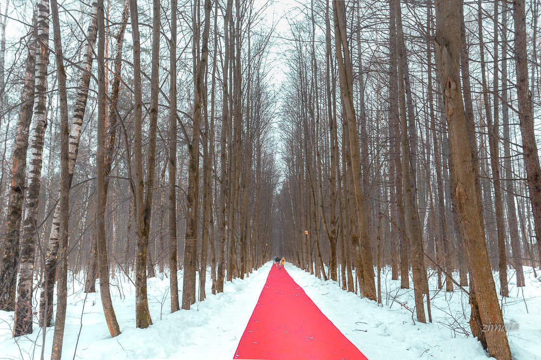 в нашем парке