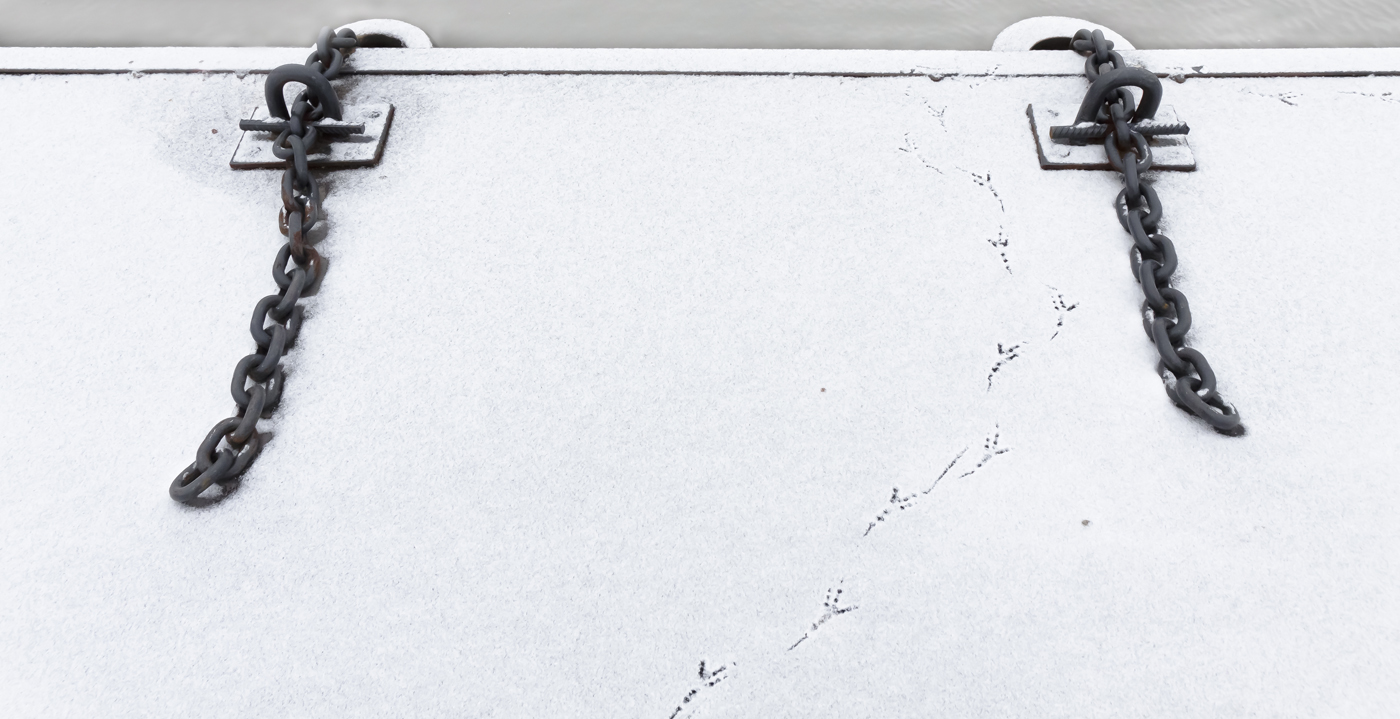 Нестандартный Петергоф - 19