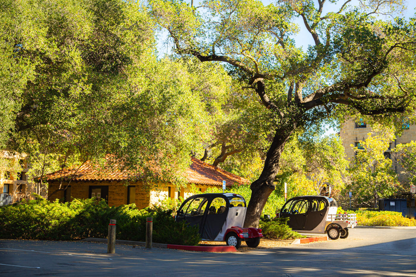 Уголок в Стэнфорде