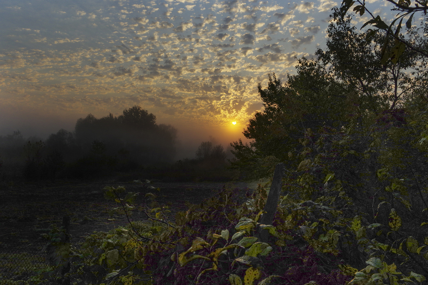 Деревенский рассвет