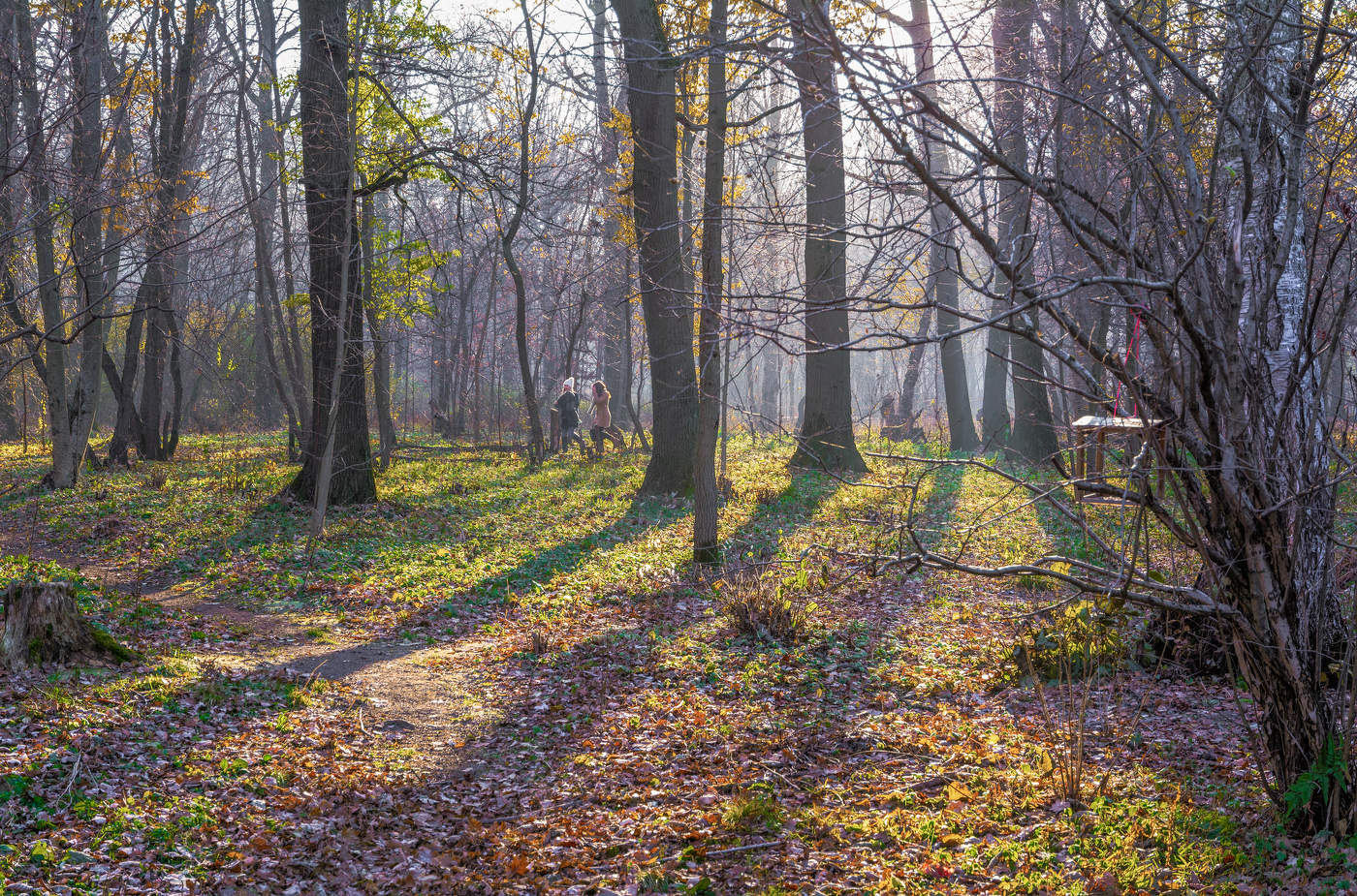 Октябрь уж наступил -- уж роща отряхает последние листы с нагих своих ветвей...