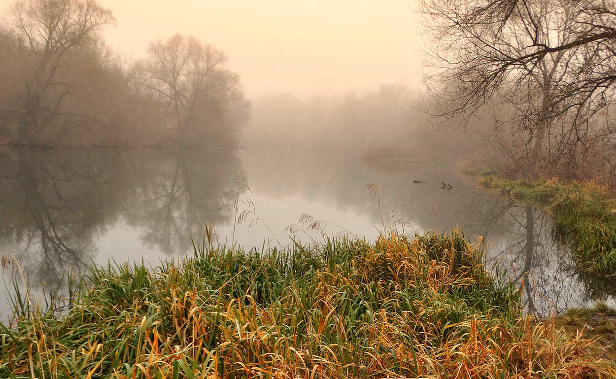 День туманный ноябрьский