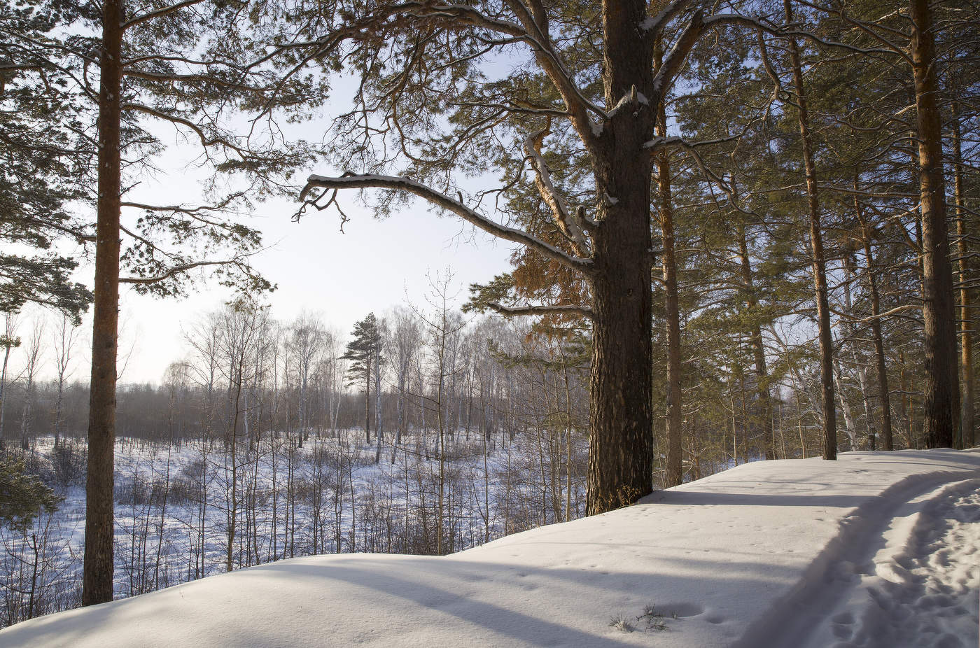 Снежная река.