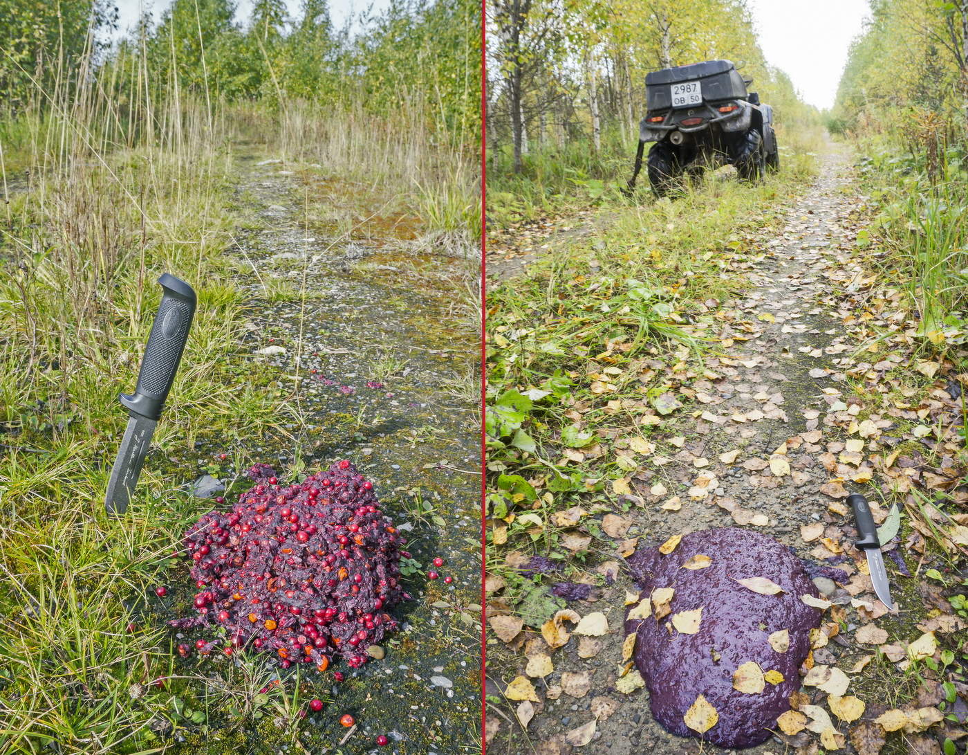 Следы попутчиков