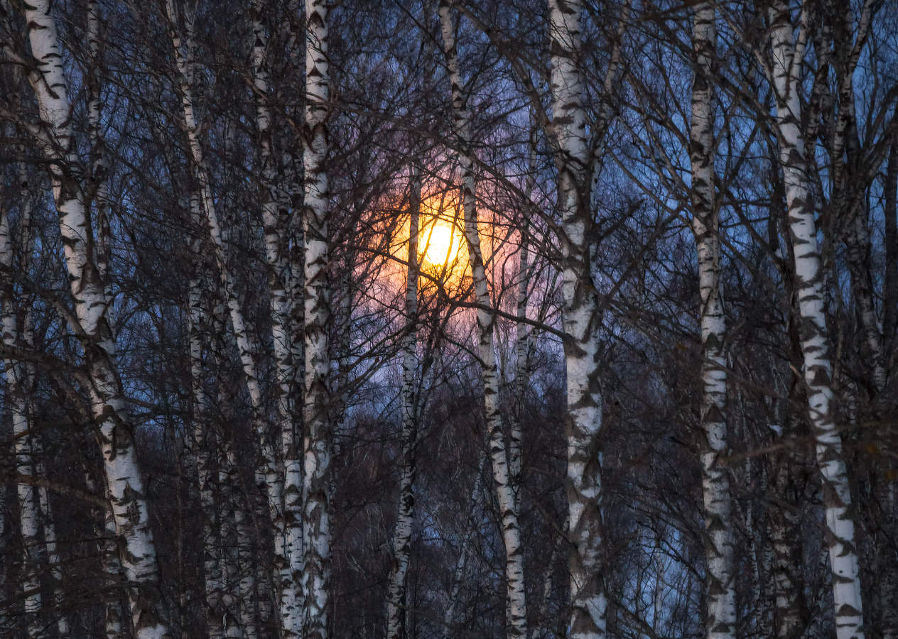 Восход луны