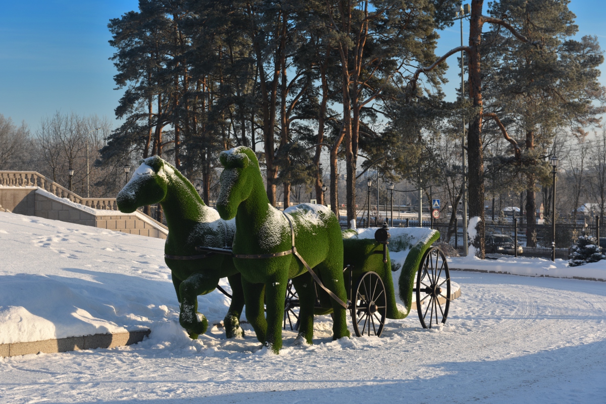 Были и мы рысаками когда то.....