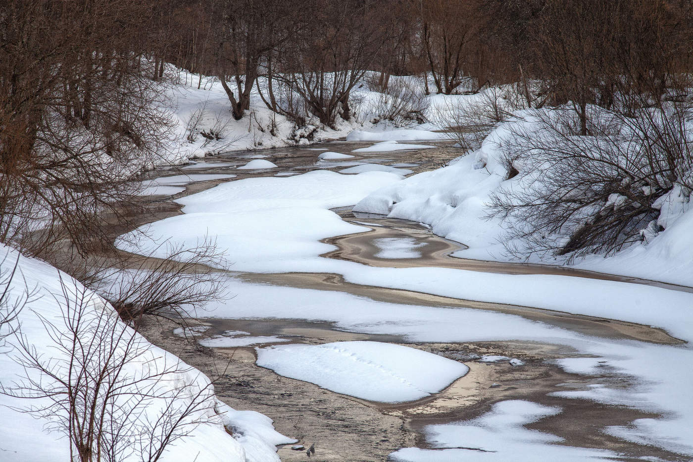 Жизнь вокруг