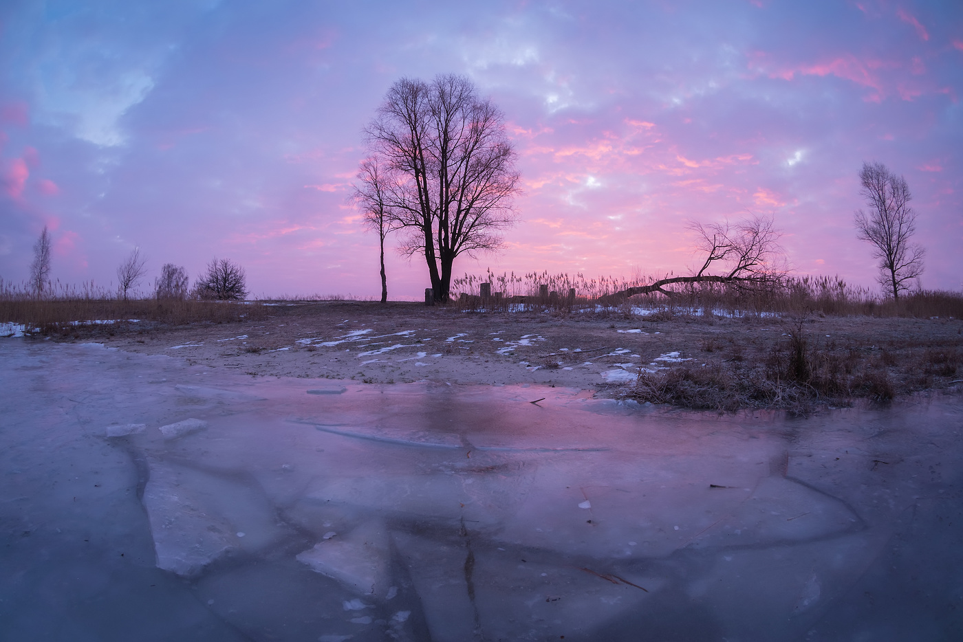 Февральское утро