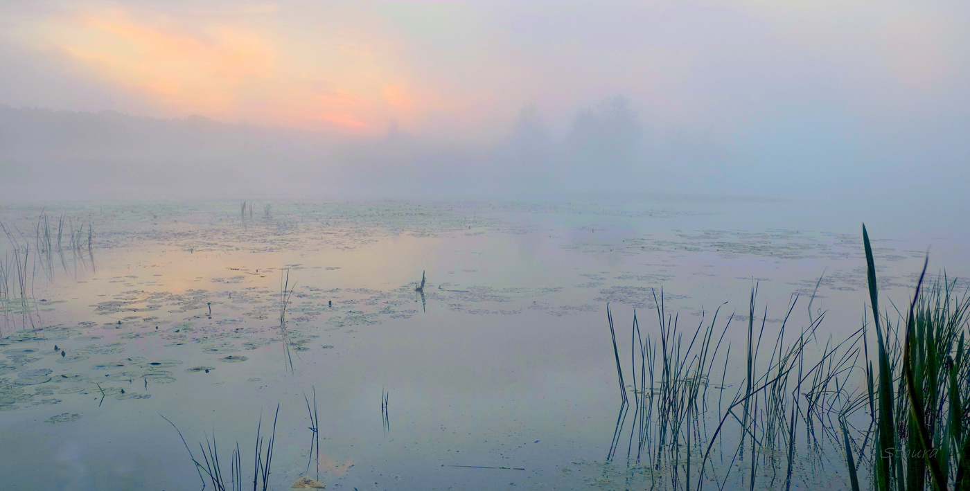 Начало рассвета.