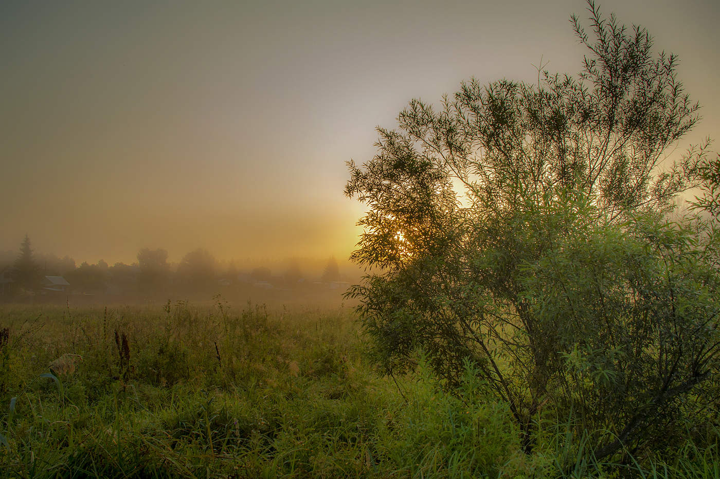 Утро в августе