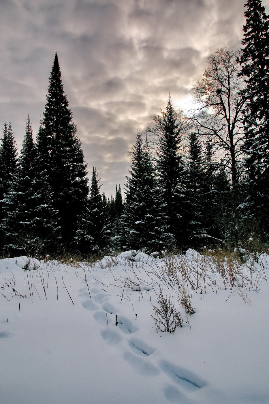 **Пасмурно.*