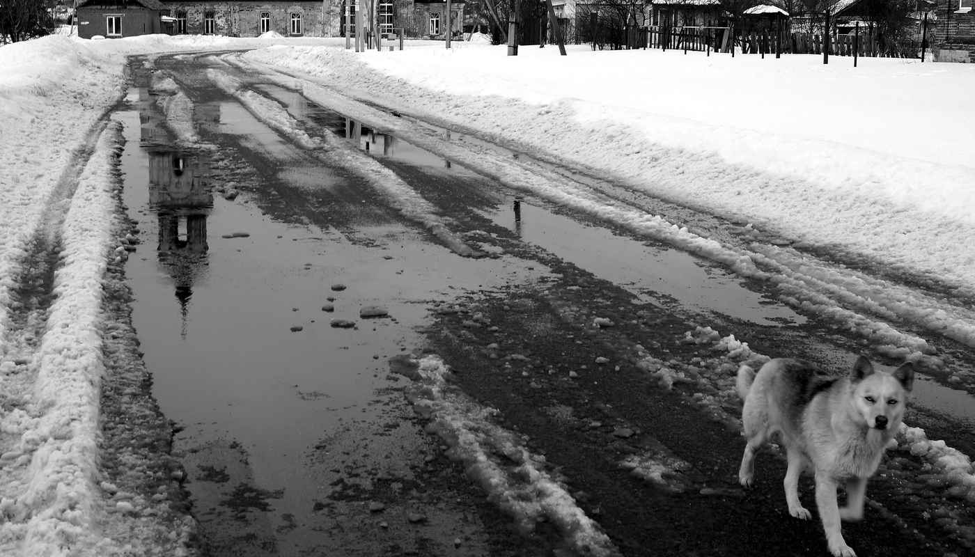 Без названия