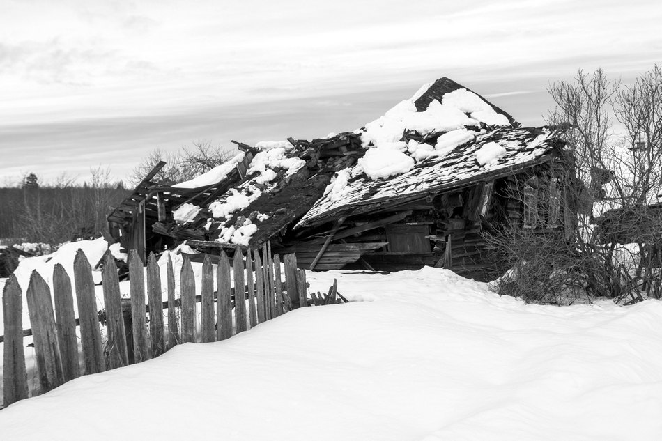 Жизнь вокруг