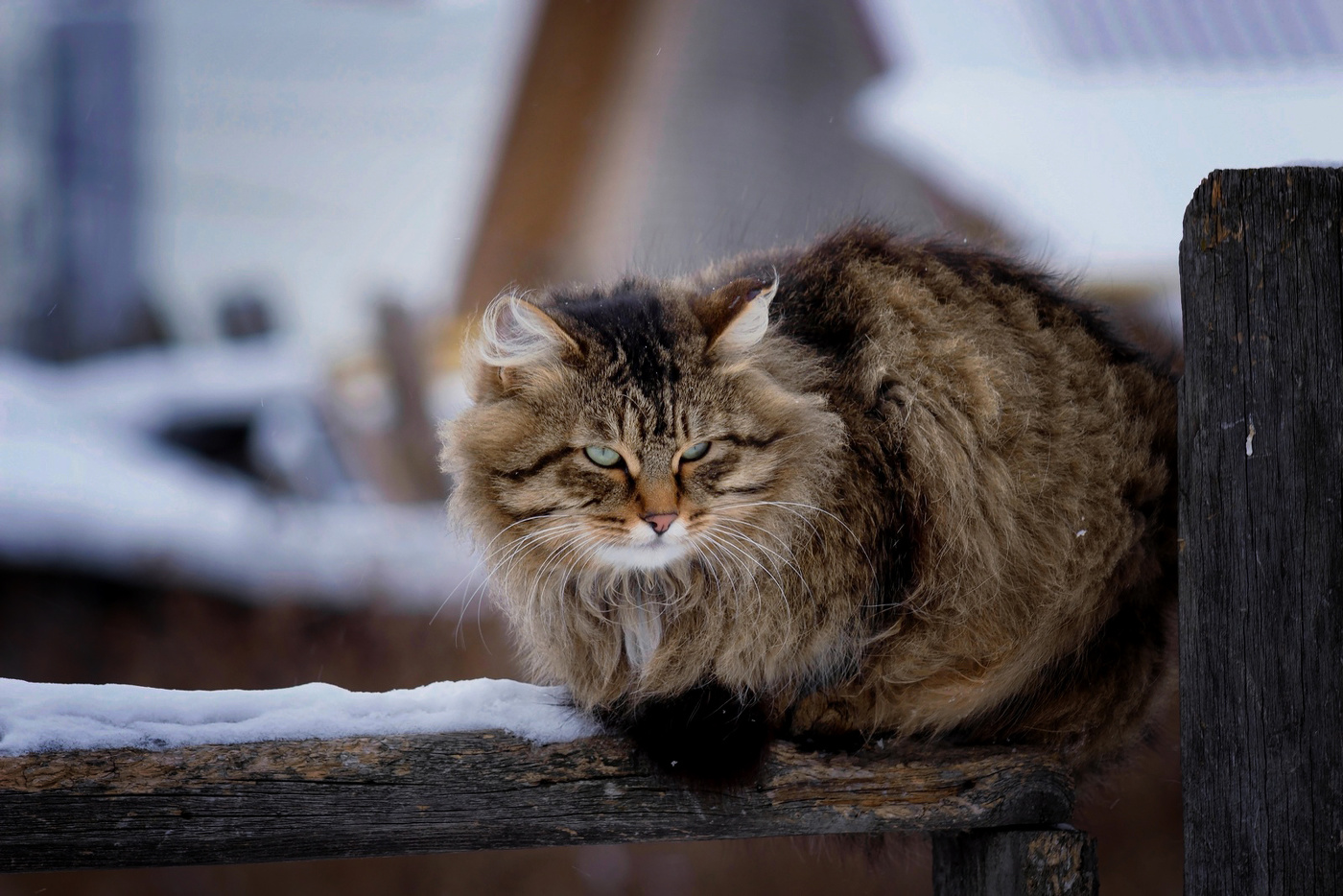 Весна не за горами)