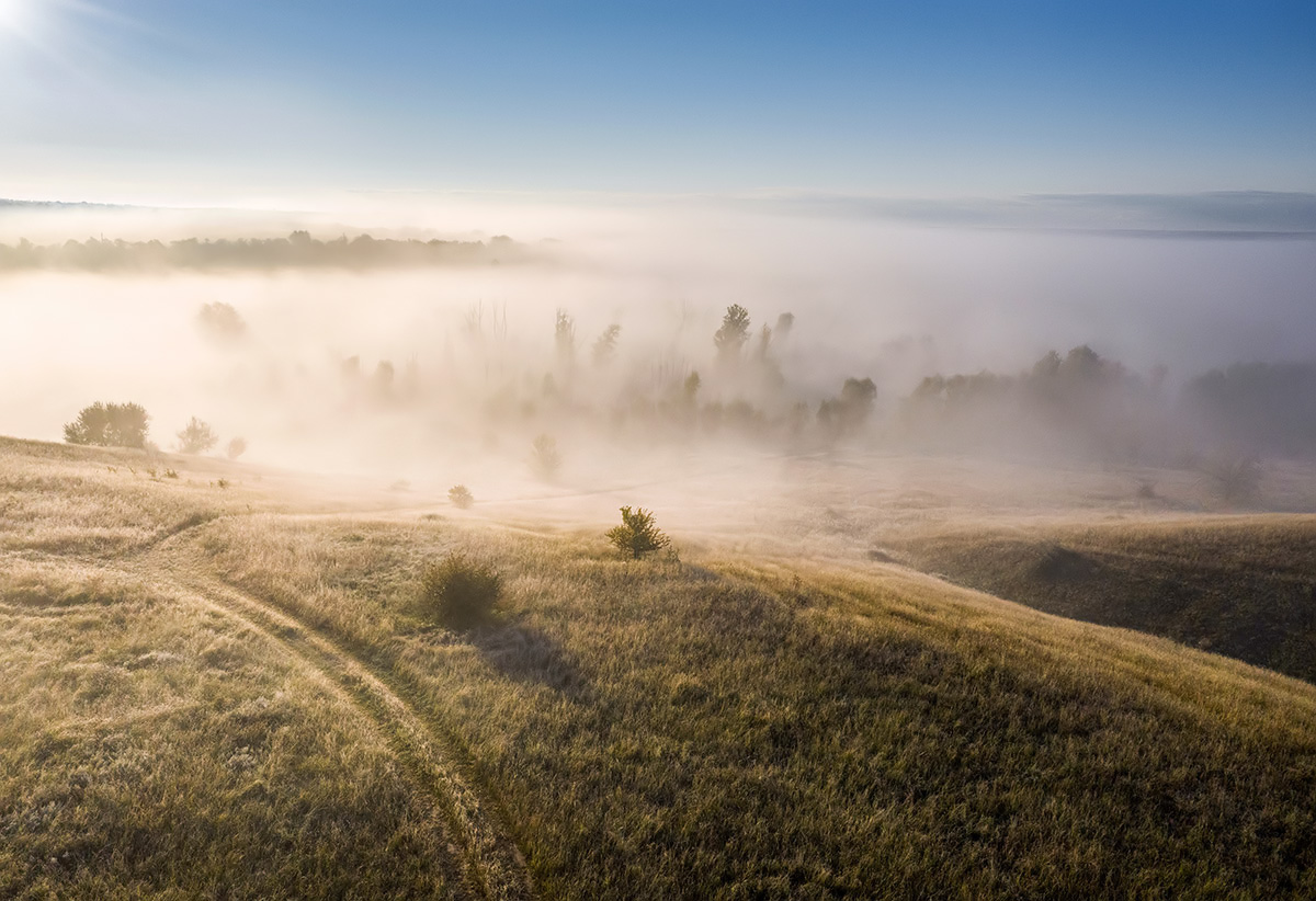 Утро в Дубовой балке