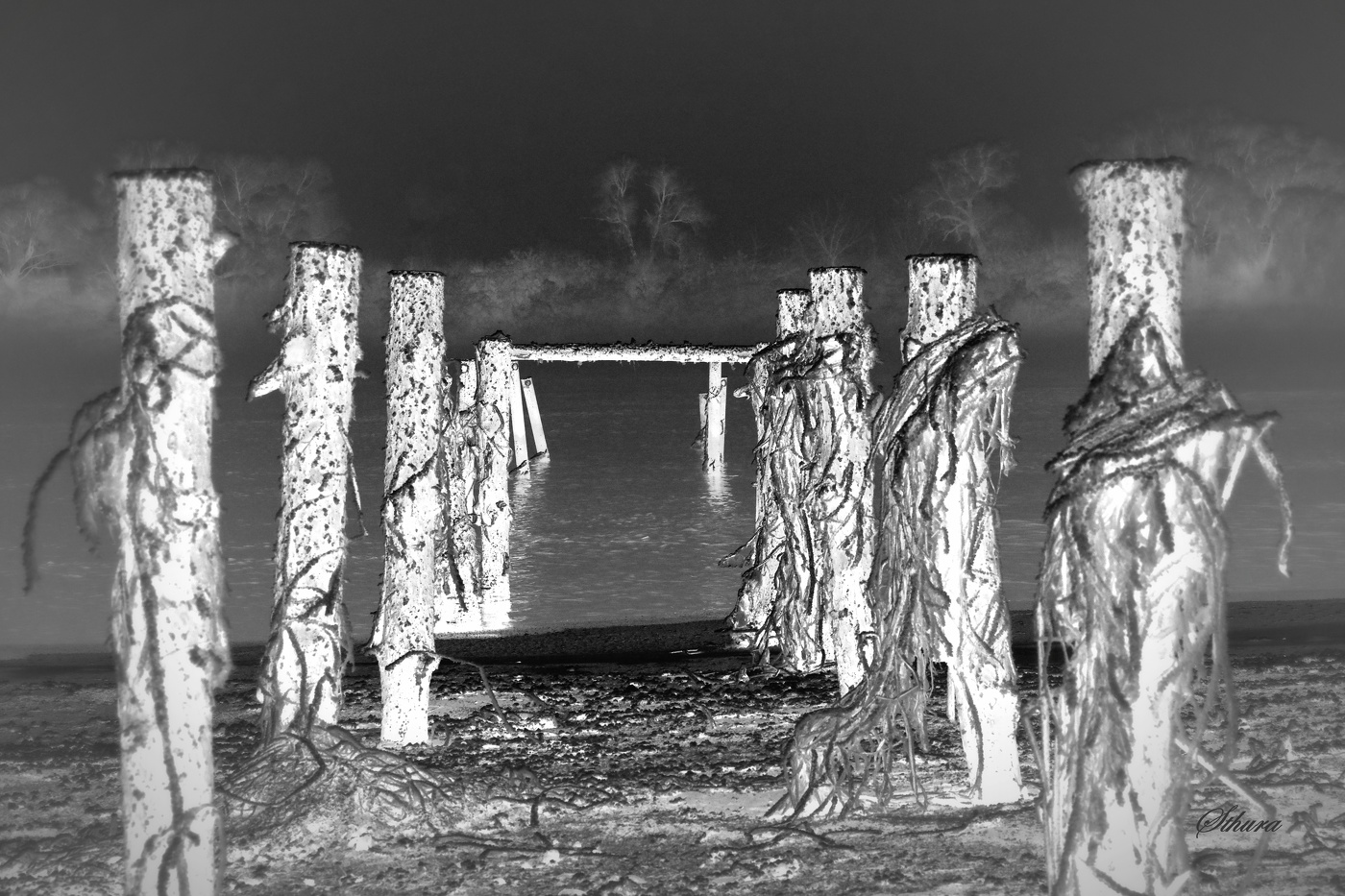 Вышли из воды...