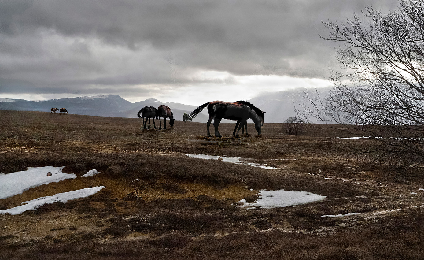 Растаявший снег