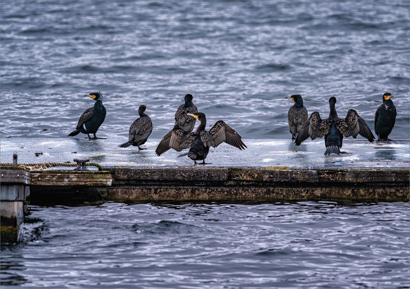 На просушке