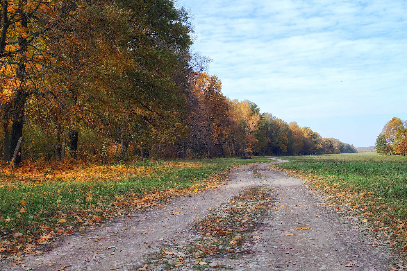 По дороге бродит осень