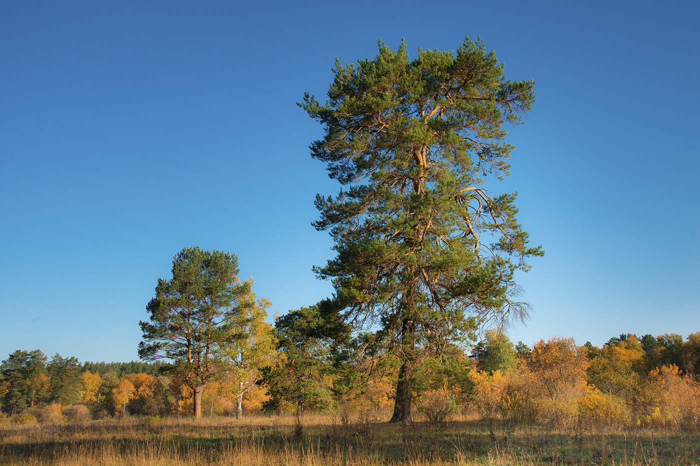 Утро в сентябре