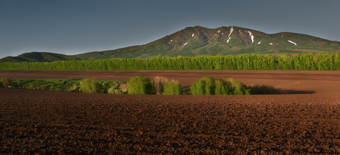 Весенний вечер