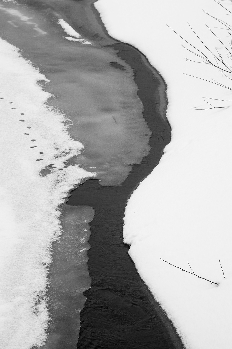 Жизнь вокруг