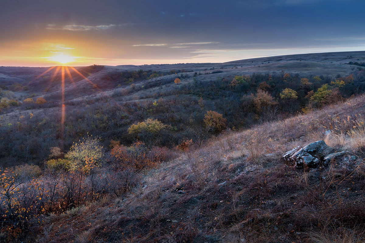 Ноябрьским утром
