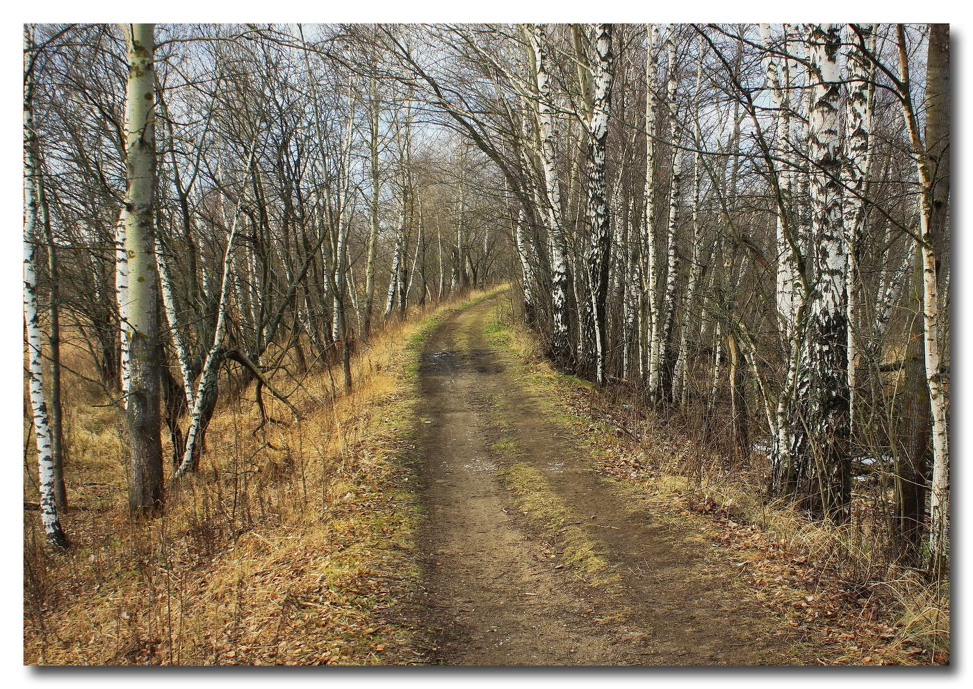 Весенний мотив