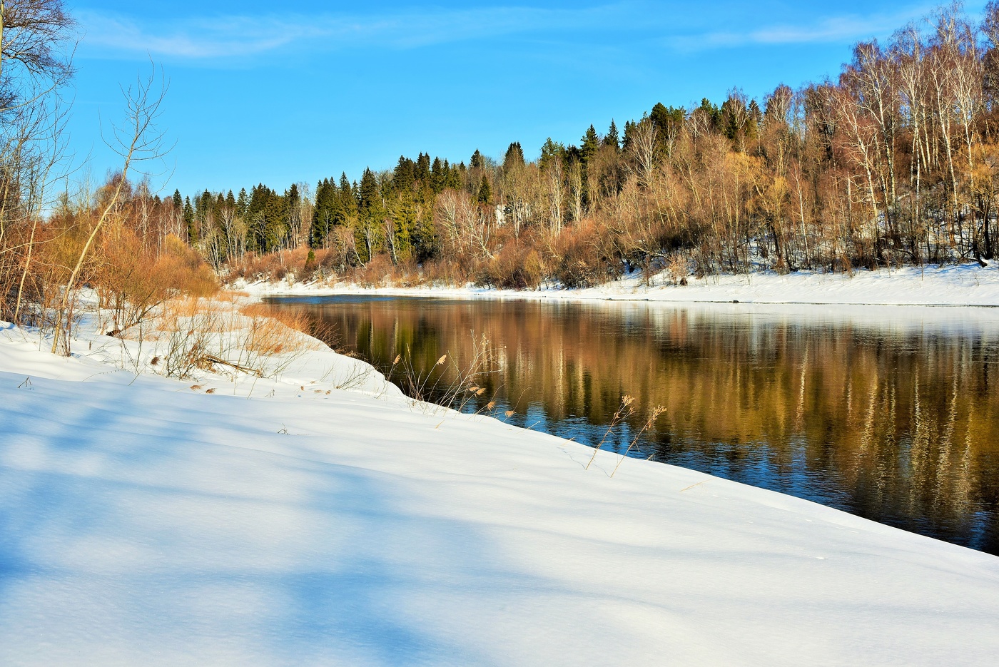 "Завеснился февраль, отпустили морозы ..."