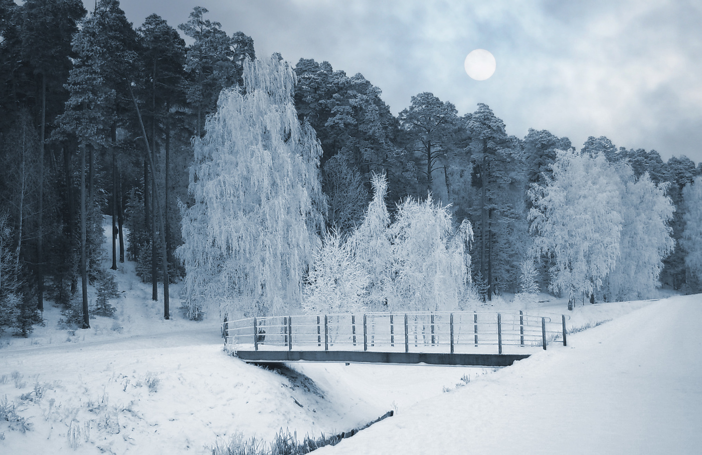 Серебряное утро.