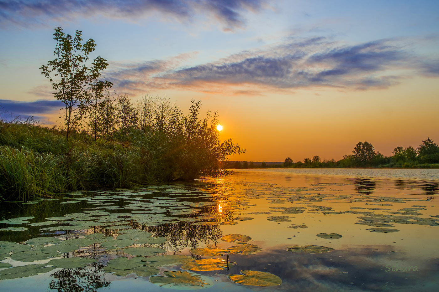 Утреннее солнышко.