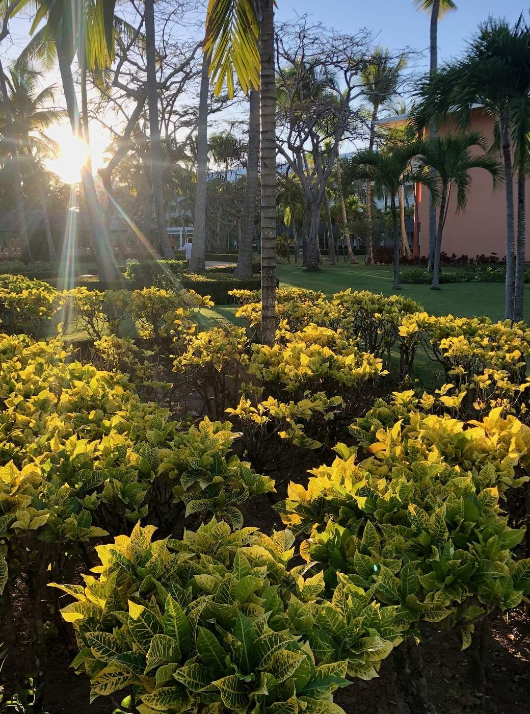 В лучах уходящего солнца