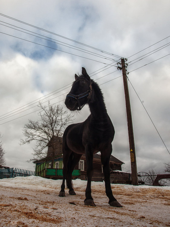 Жизнь вокруг