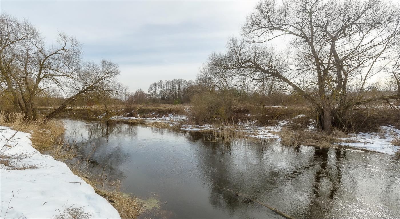 Природы немой пробужденье...