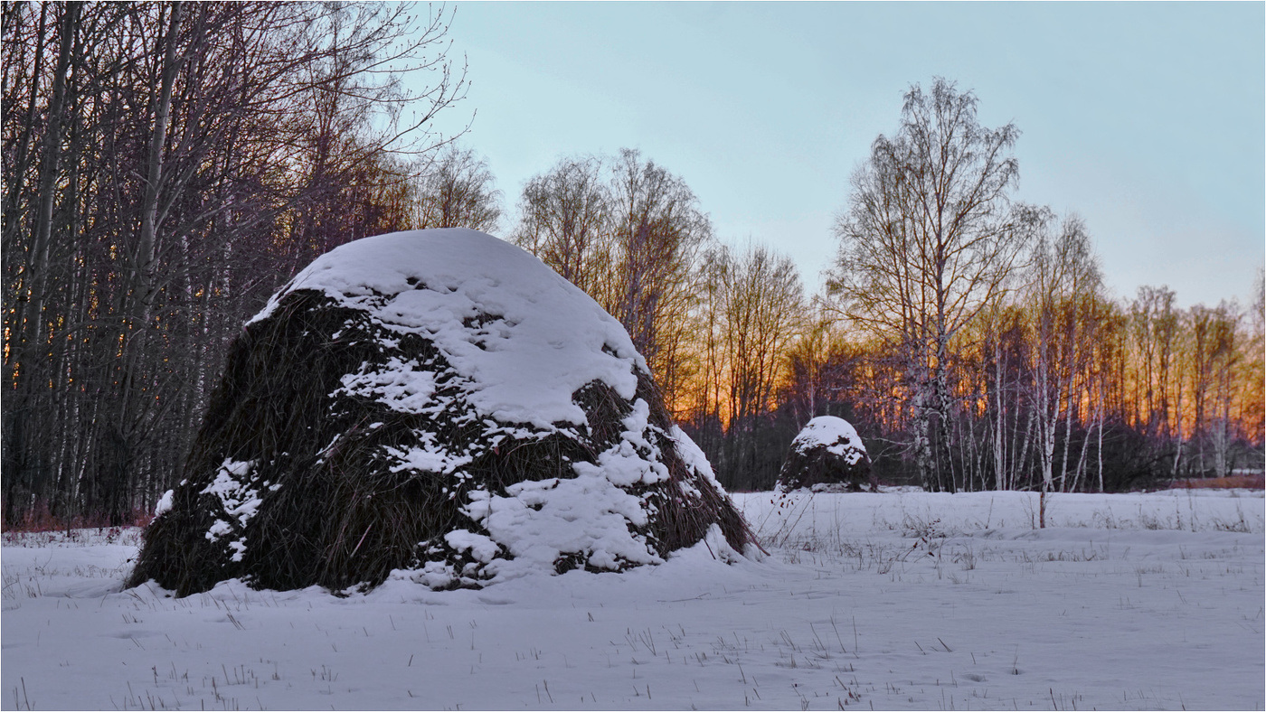 На лесной полянке