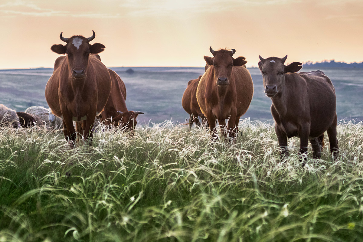 Групповой портрет