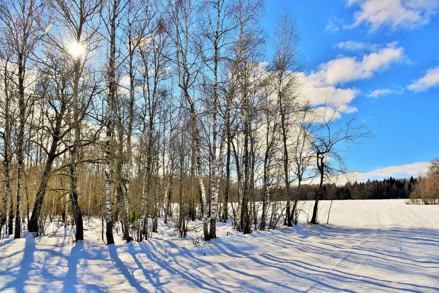 Последние деньки февраля ...