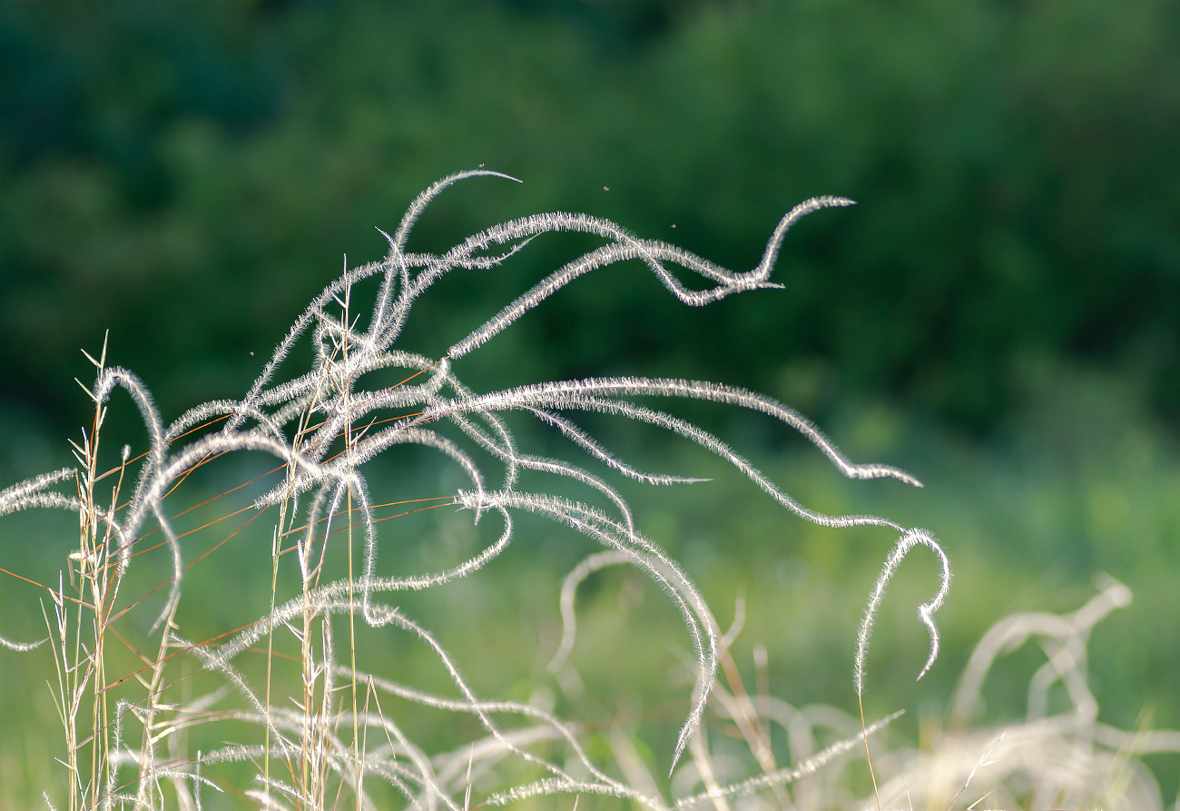 К полету готовы !