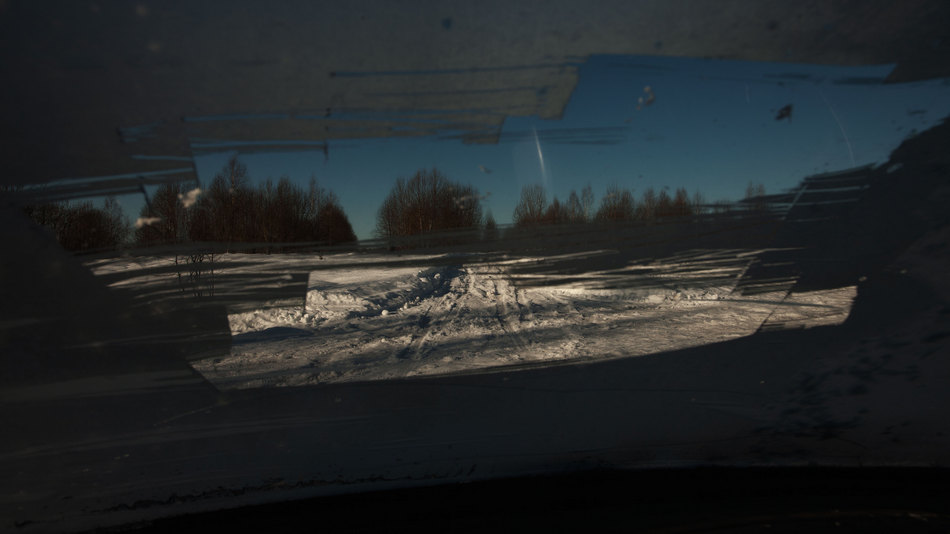 Жизнь вокруг