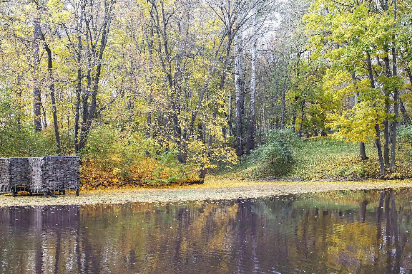 Золотая осень в Ясной поляне