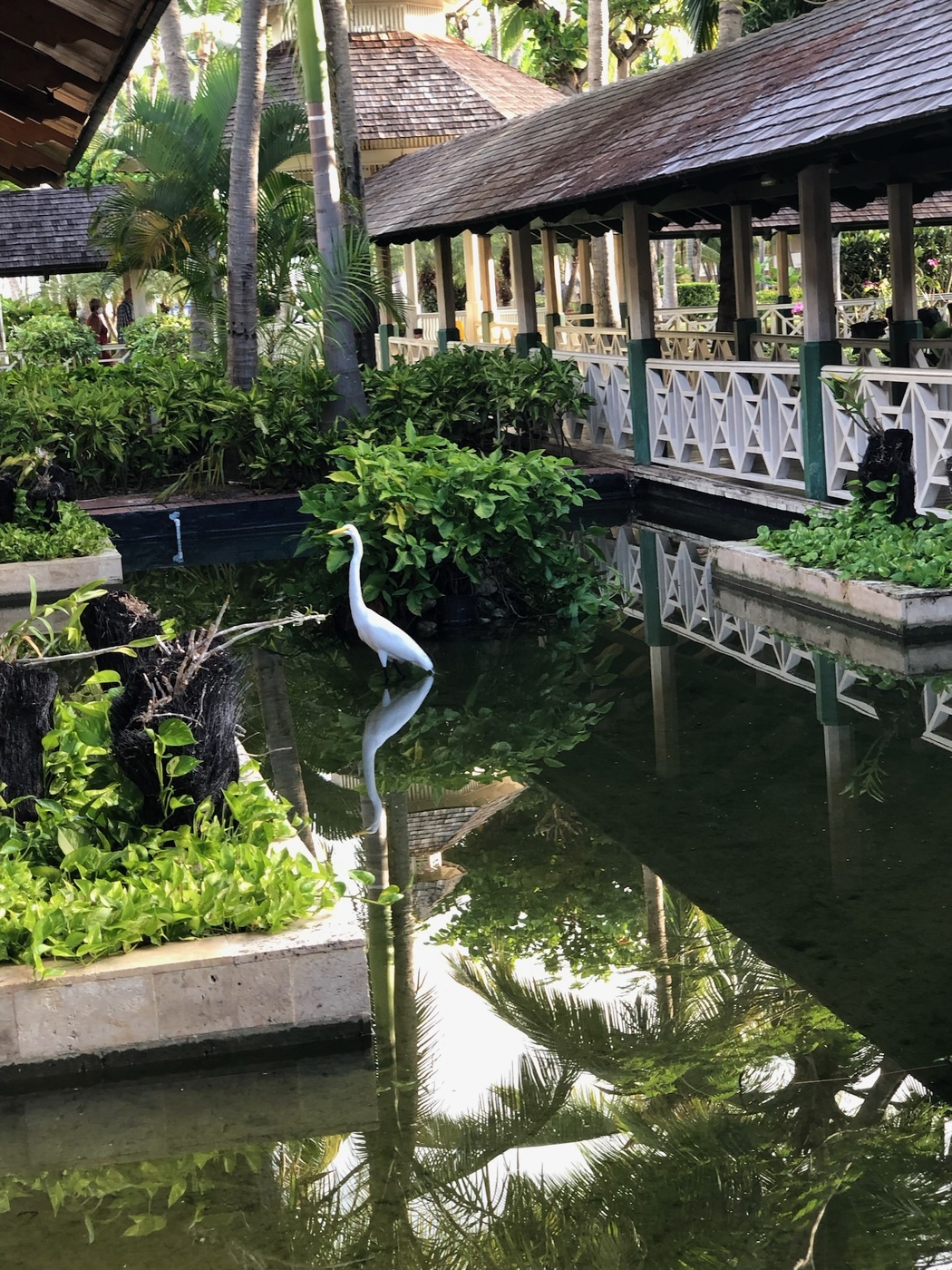 Одиночество